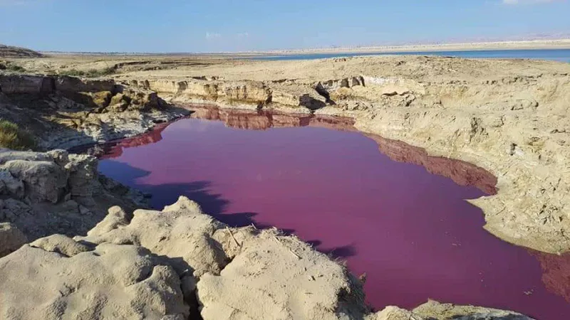 PINK LAKE JORDAN
