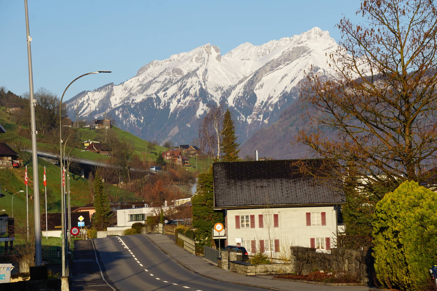 DSC01591