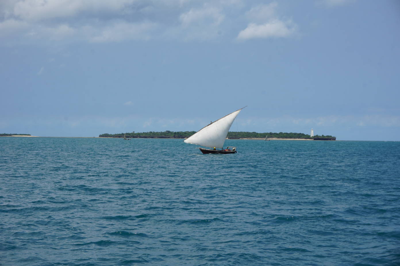 DSC08393