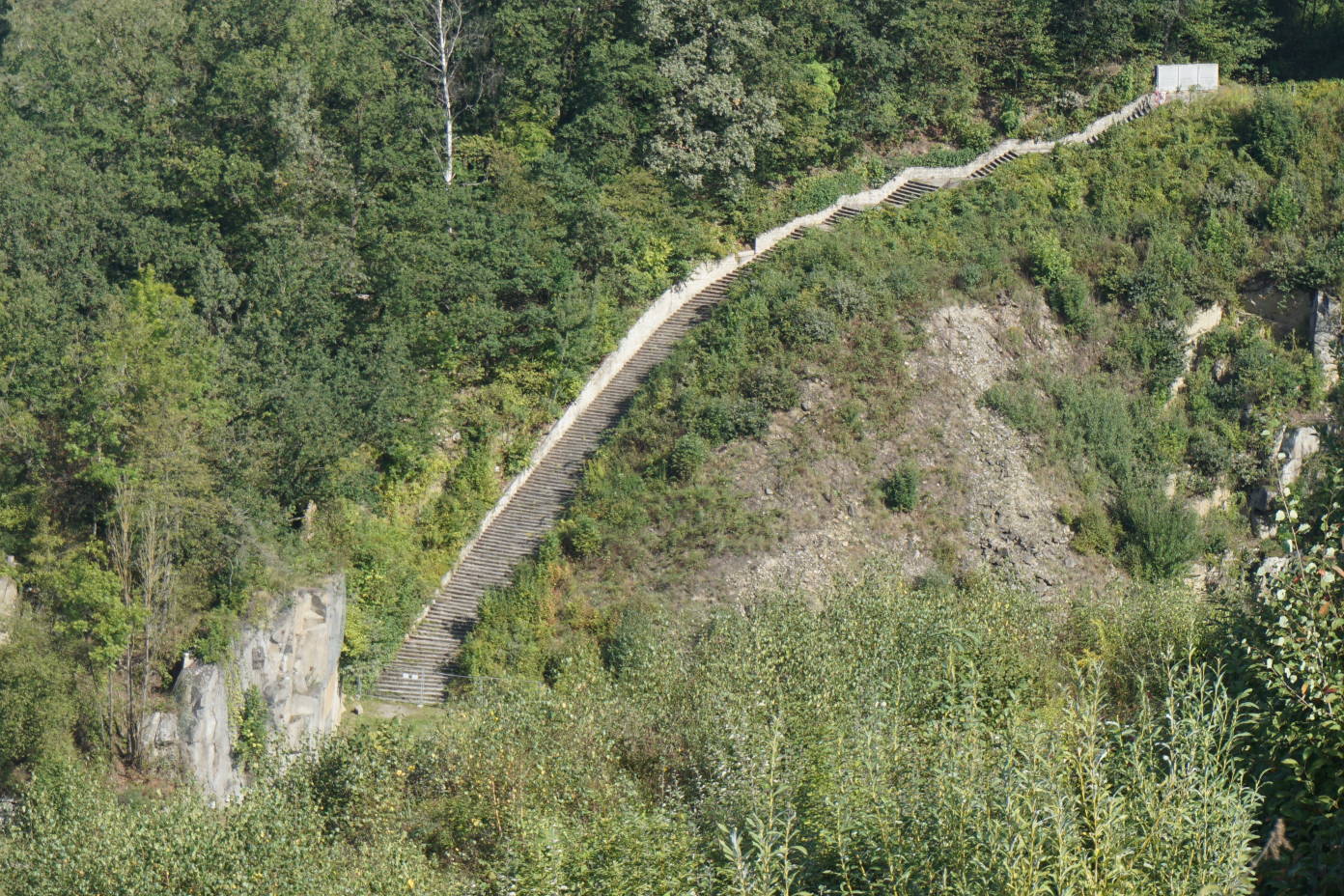 DSC06389