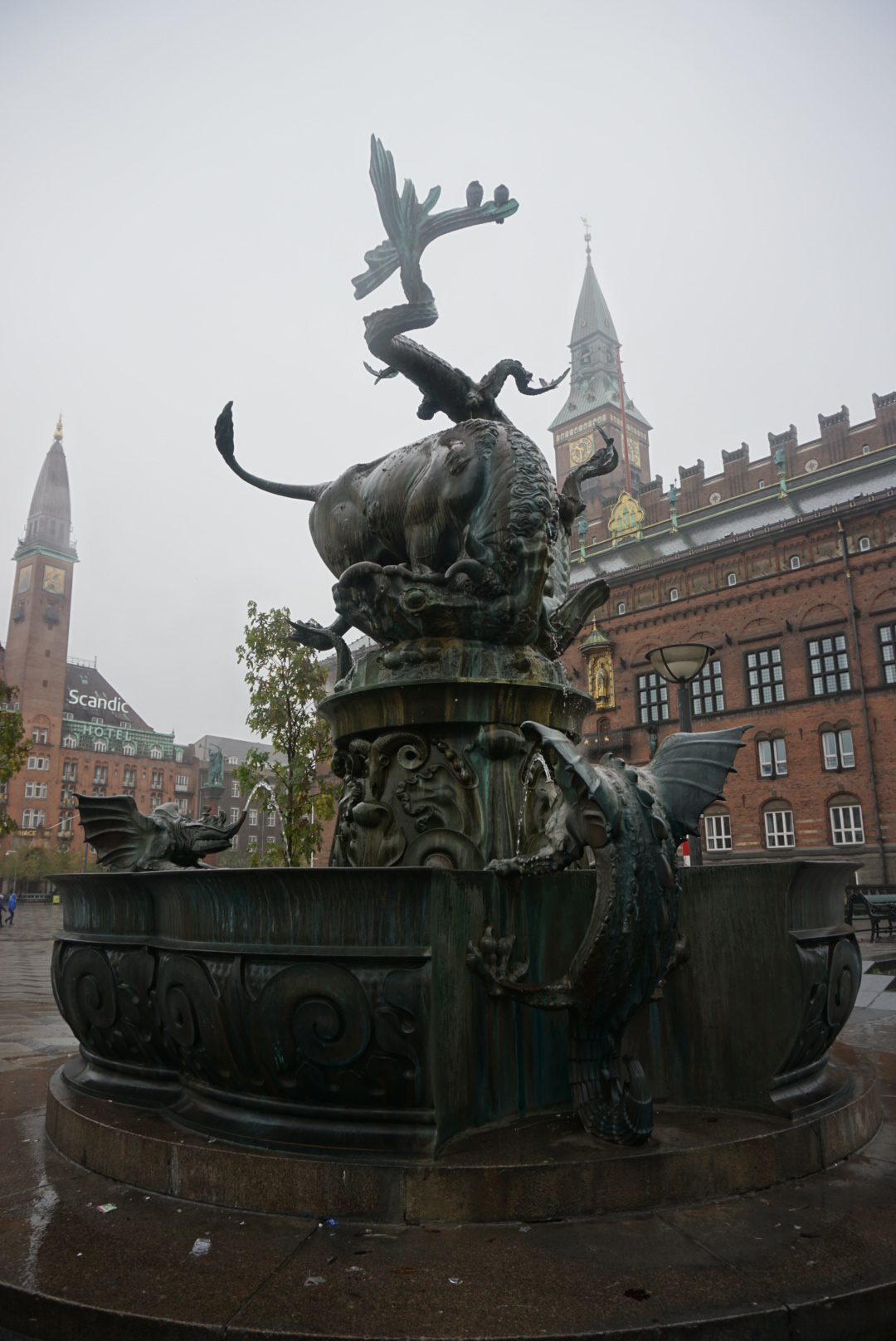 DSC07029